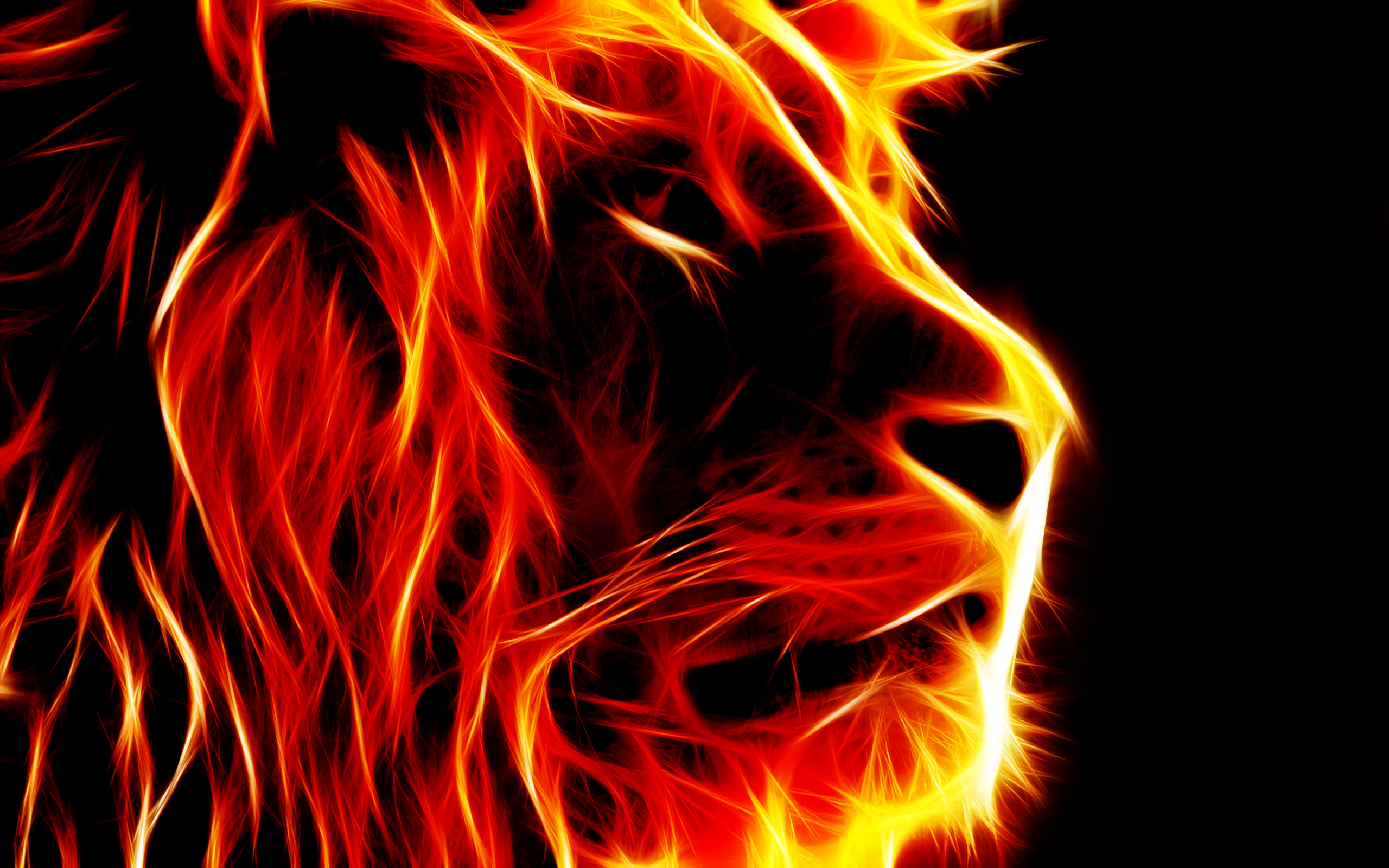 3d fire lion wallpaper