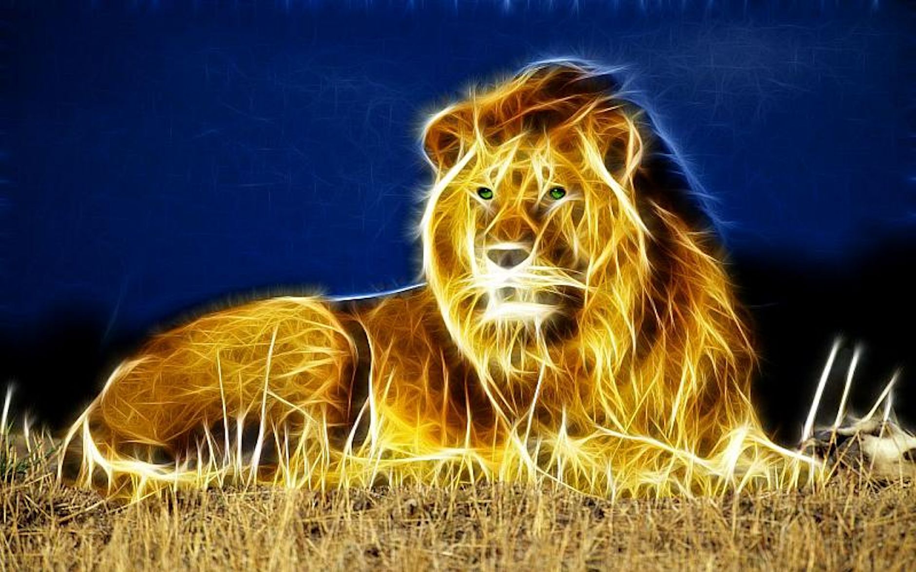 3d lion wallpaper