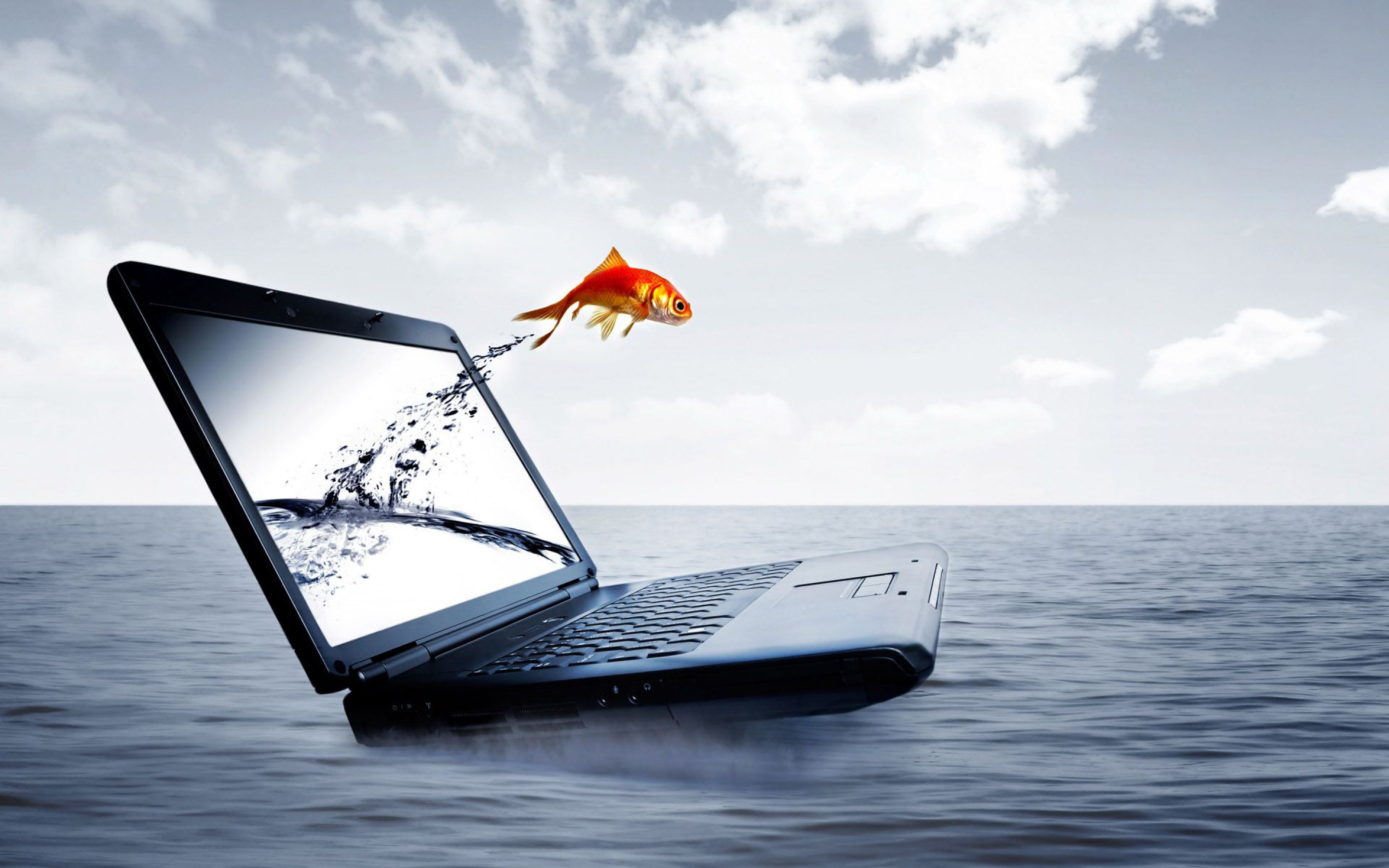 3d laptop gold fish jump sea