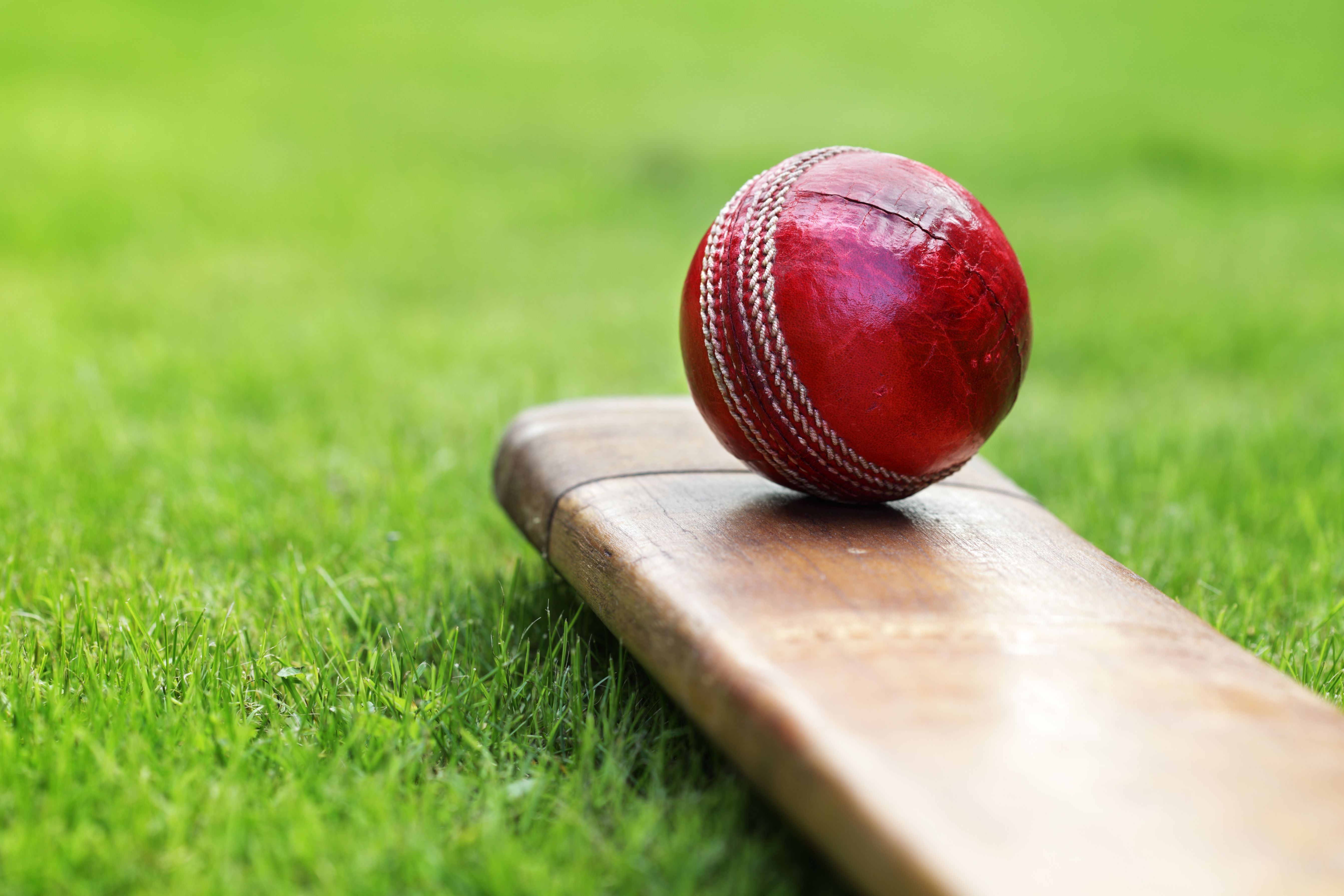 red cricket ball on cricket bat