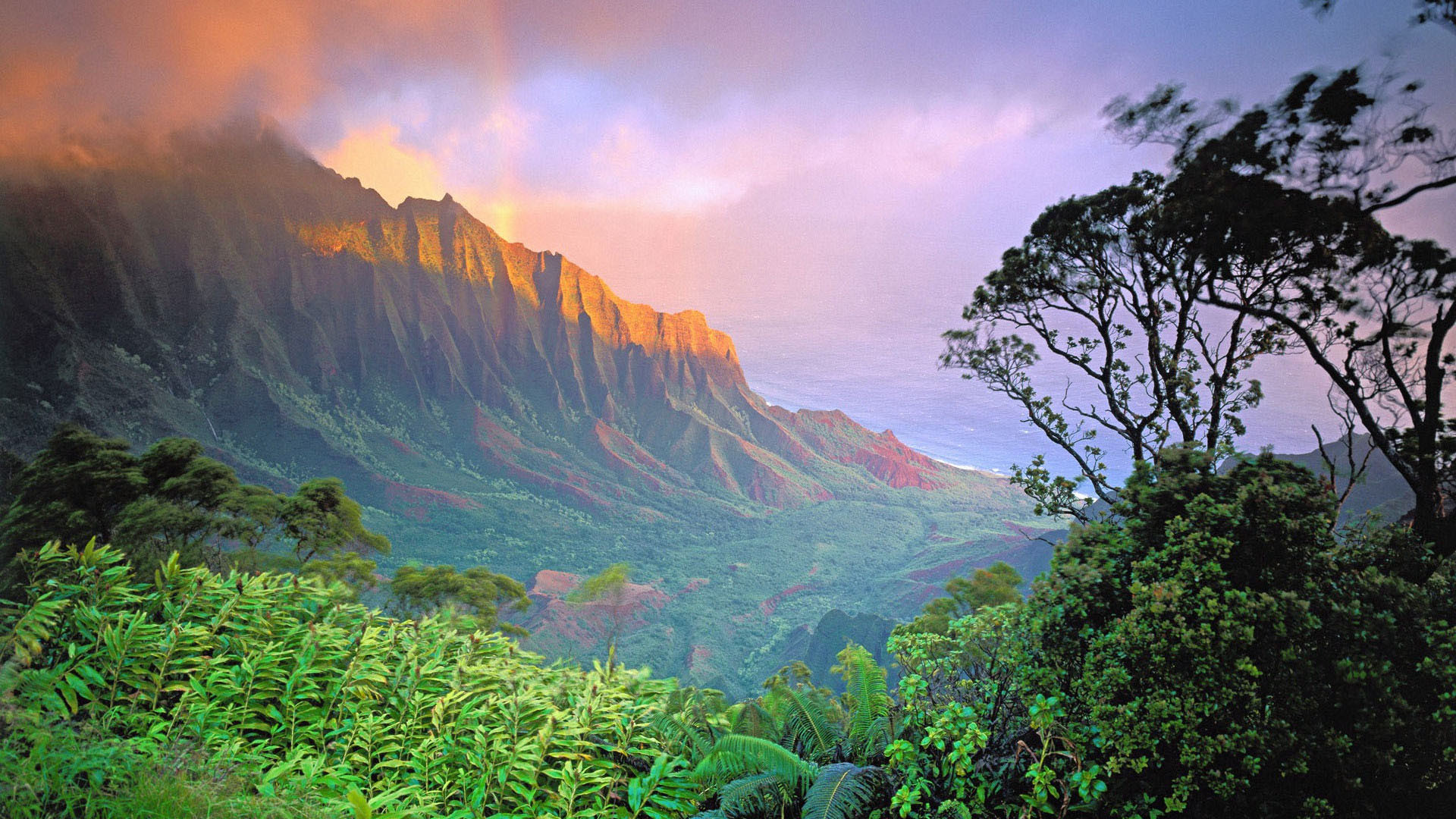 kalalau beach hawaii