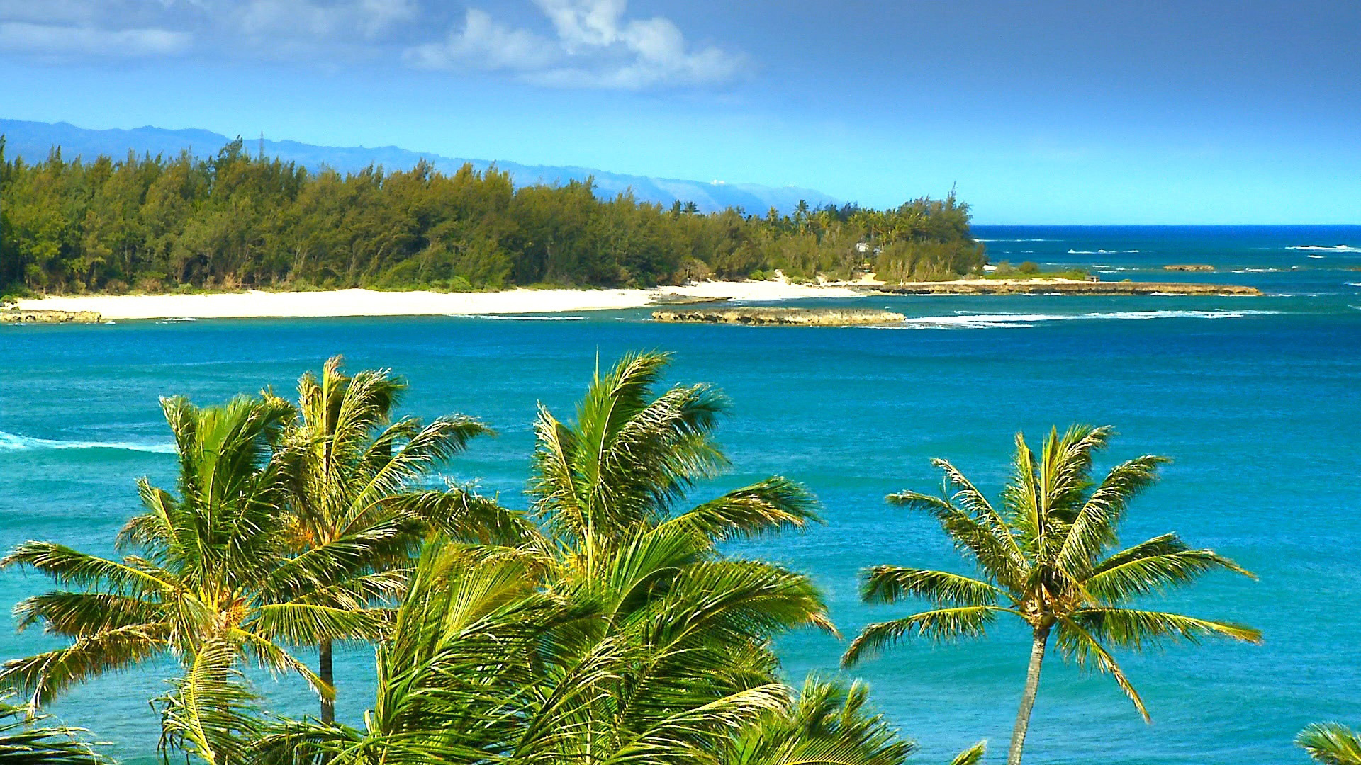 windy beach in hawaii