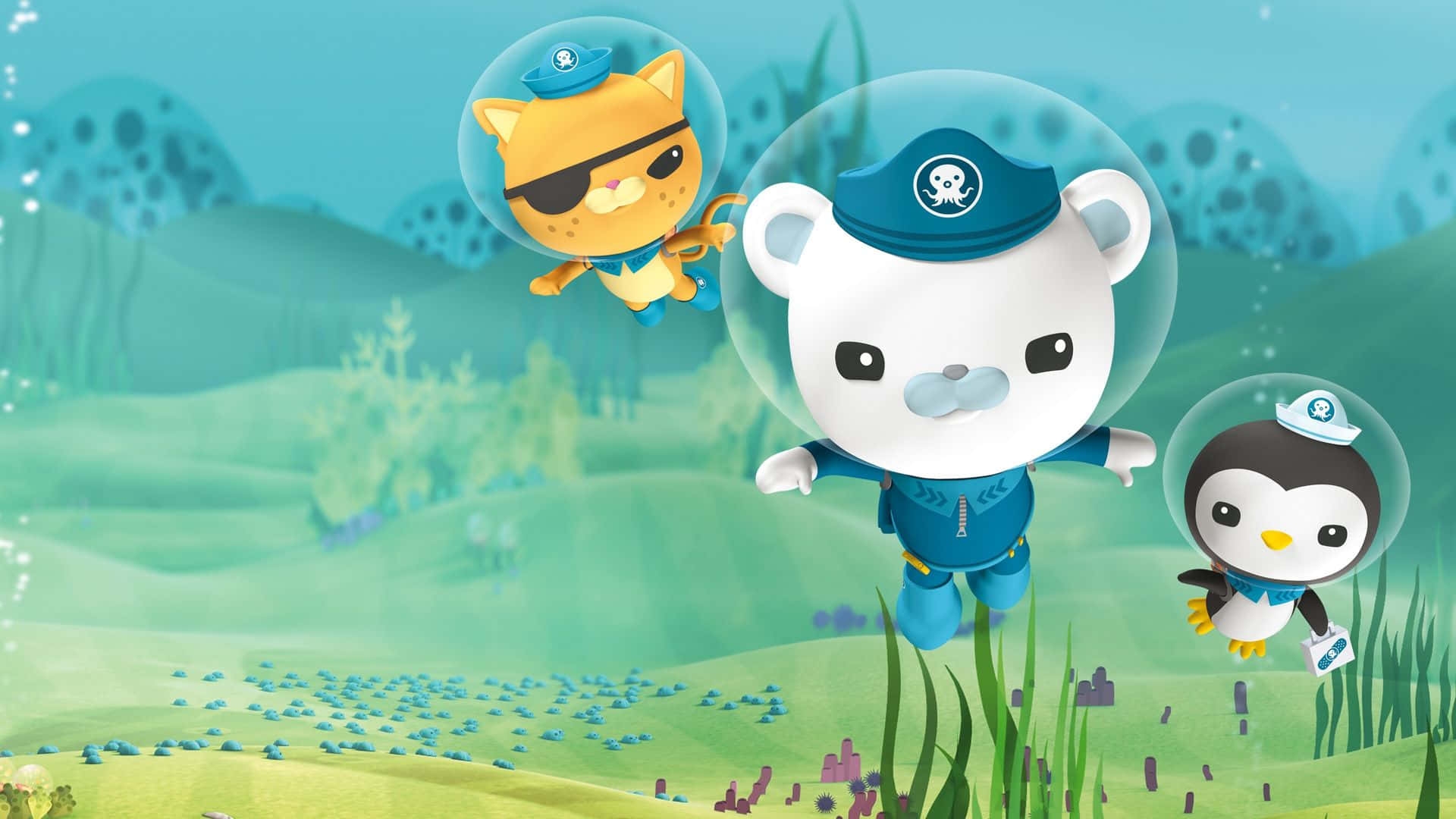 Octonauts Underwater Adventure