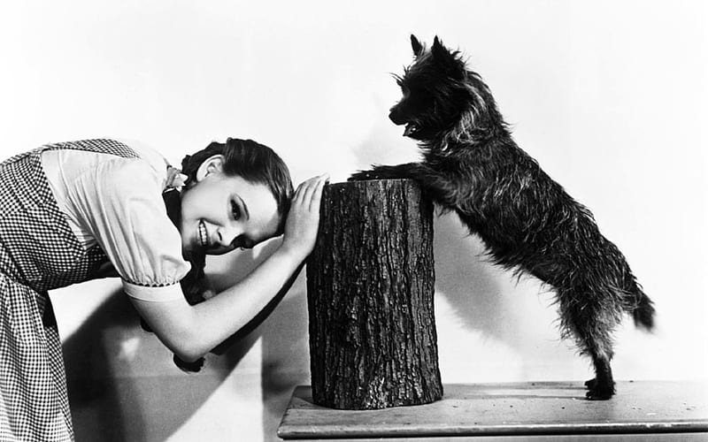 Oz Dorothy And Toto