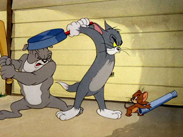 Funny Rivalry Moments Tom And Jerry Wallpaper