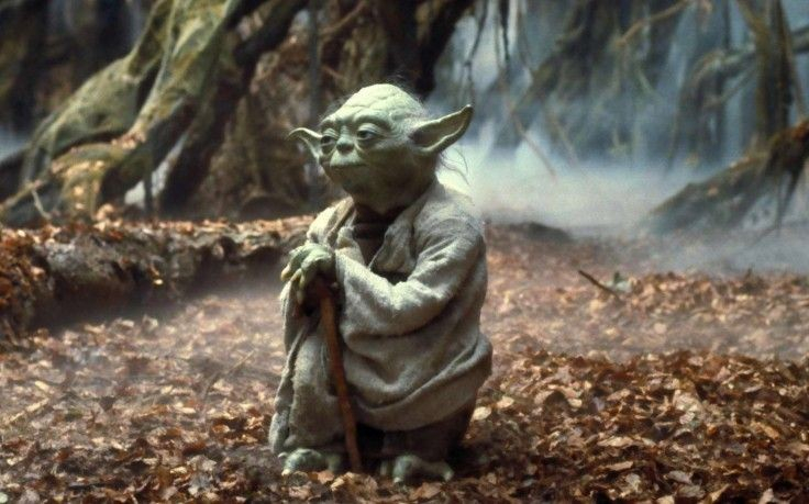Yoda Dagobah Swamp Walking Stick Star Wars Scene Wallpaper