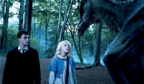 luna lovegood magical creatures