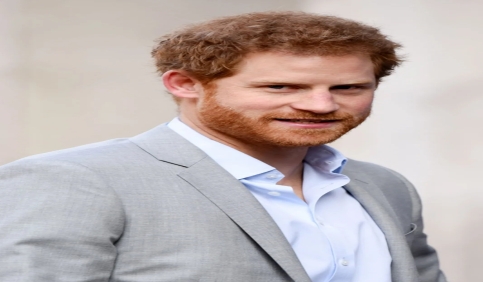 prince harry duke look