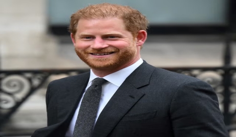 prince harry modern royal