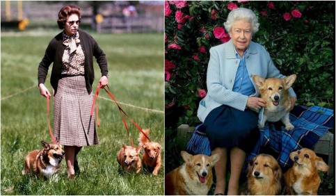 queen elizabeth ii with corgis