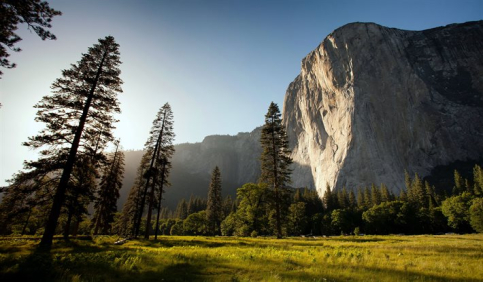 yosemite el capitan meadow sunlight pine trees valley view